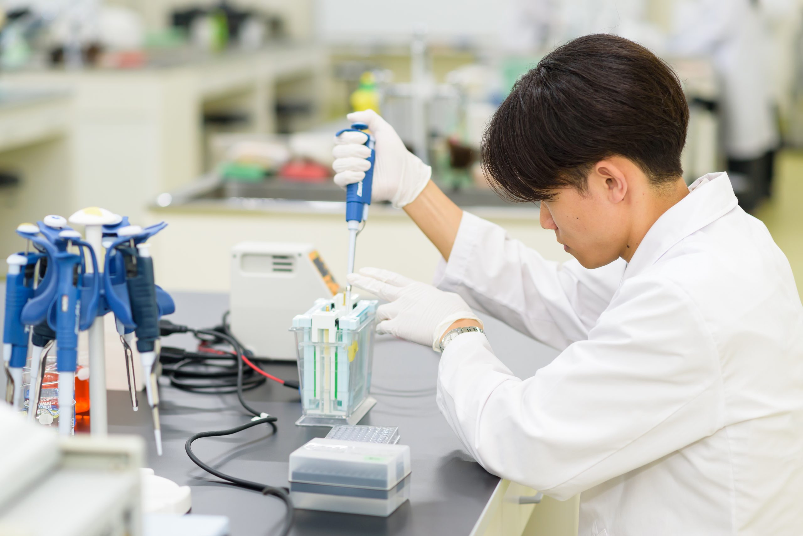 分子遺伝学分野