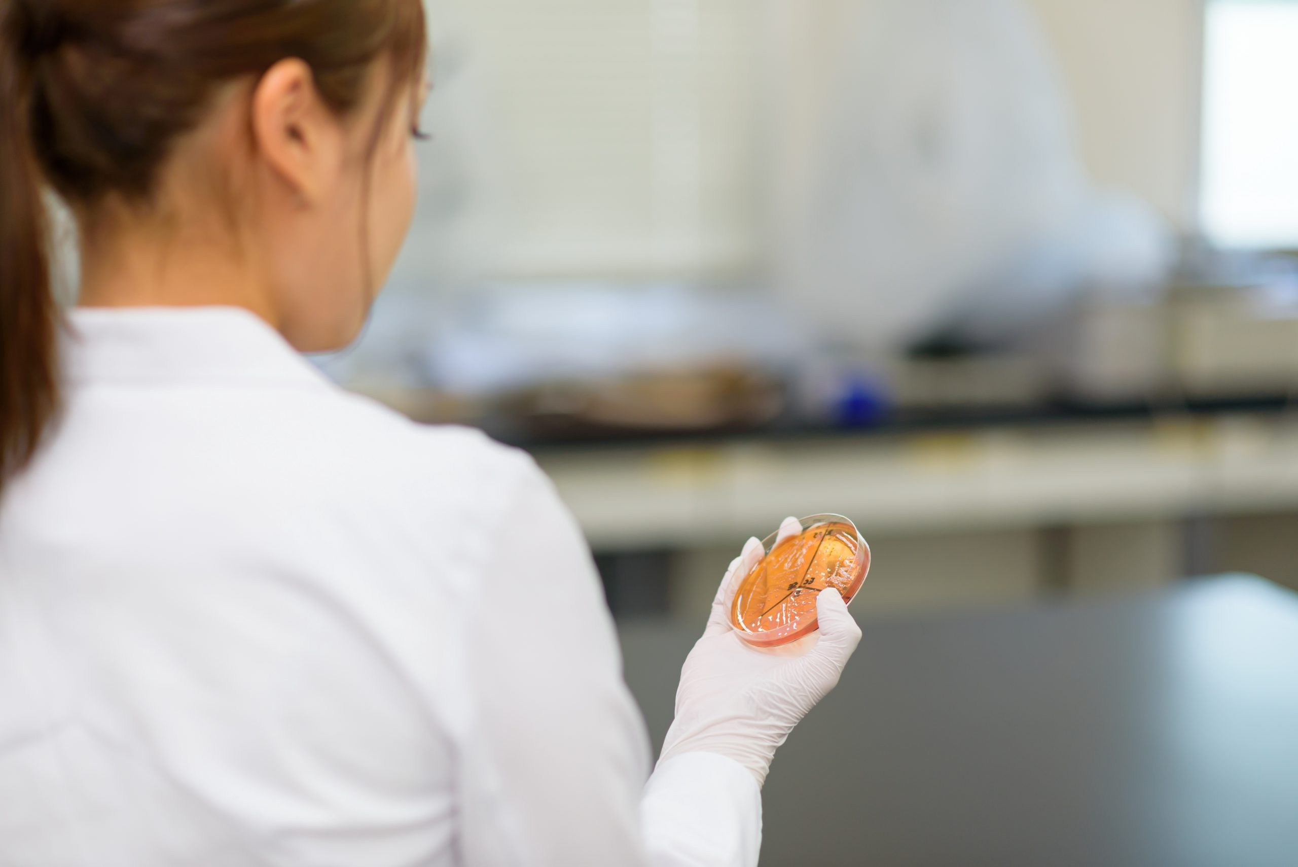 微生物学分野