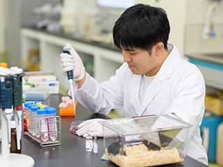 薬理学分野