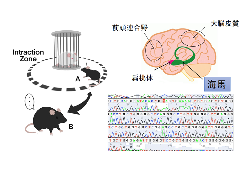 臨床分子遺伝学研究室
