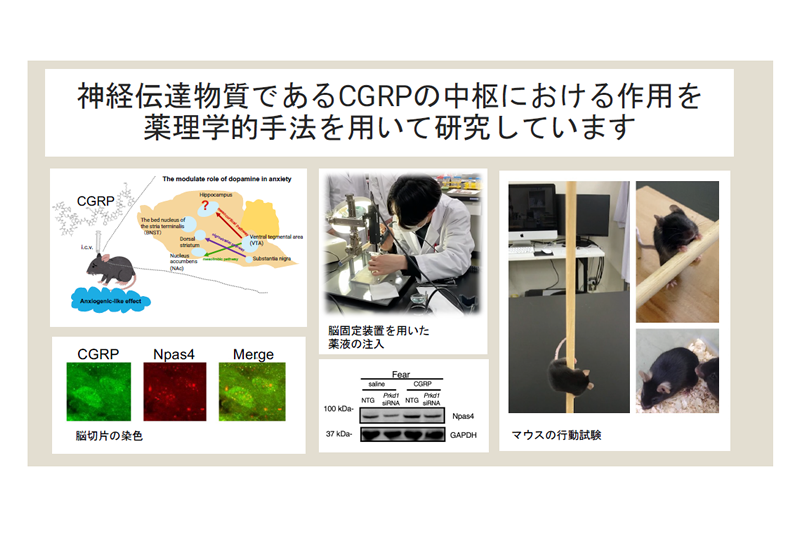 薬理学研究室